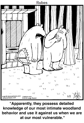 Image result for far side bear cartoon